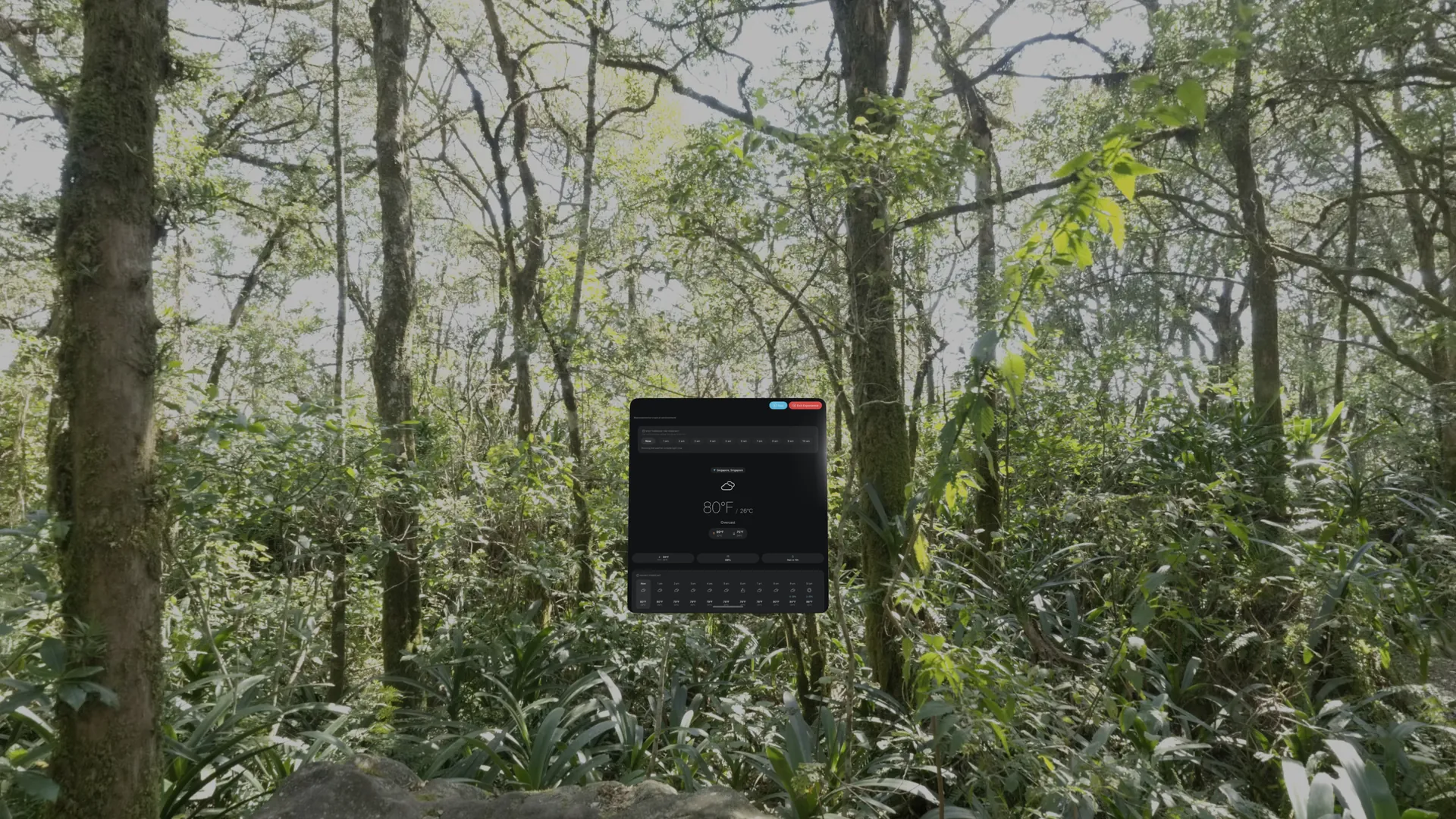 DualWeather immersive environment on Apple Vision Pro: Clear day tropical