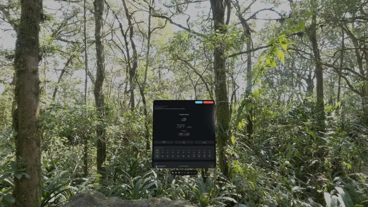 DualWeather immersive environment on Apple Vision Pro: S09 tour step1 disclosure